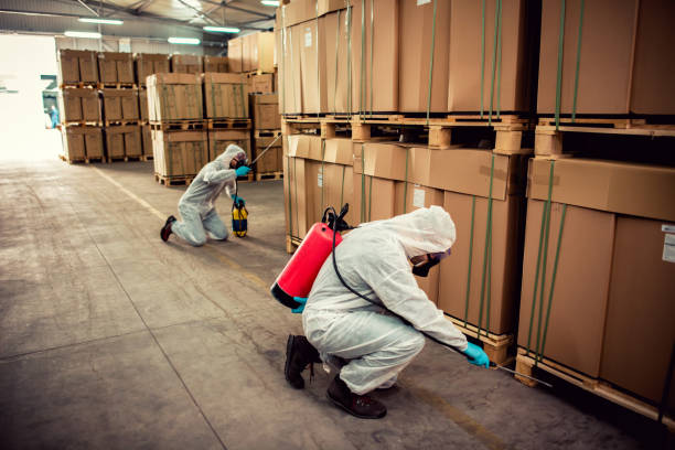 Best Pest Control Near Me in Dunstan, ME