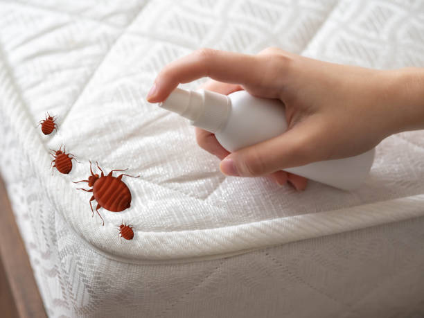 Best Pest Removal Services  in Dunstan, ME