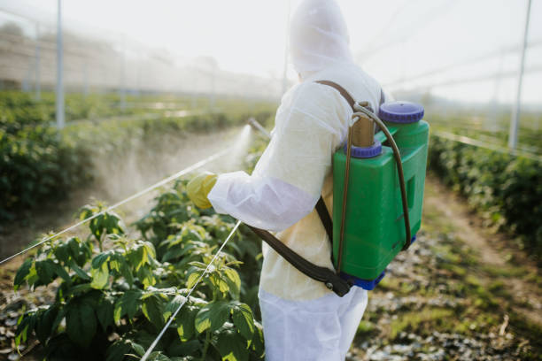 Reliable Dunstan, ME Pest Control Solutions